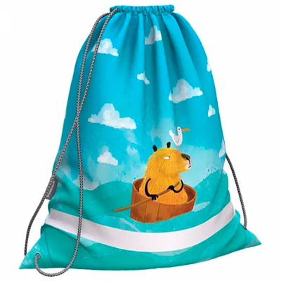 Мешок для обуви Capybara Travel Erich Krause ЕК-60157 1